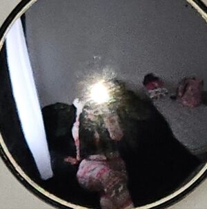 Meet your Posher, Ahsaki